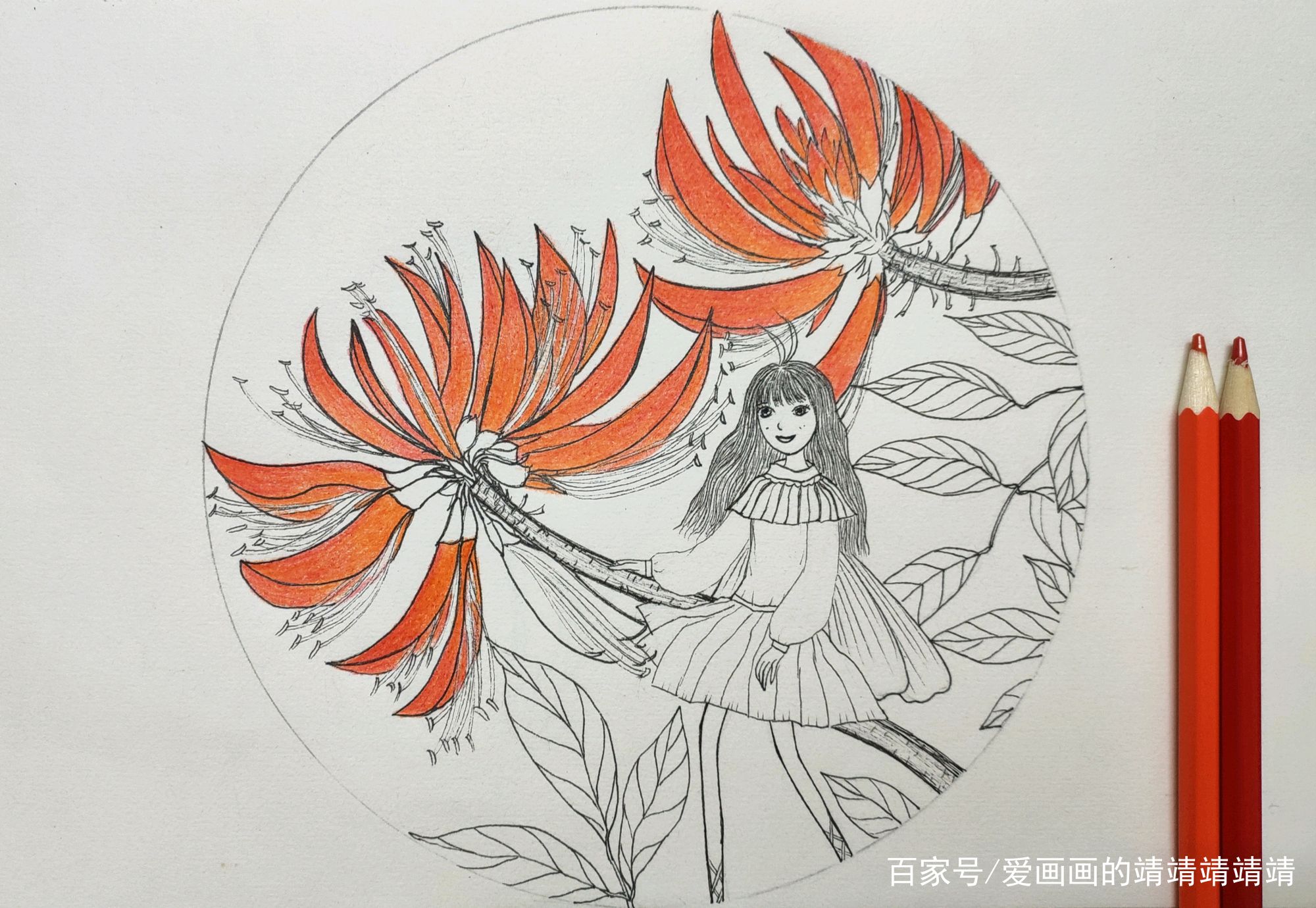 刺桐花和小精灵彩色铅笔手绘