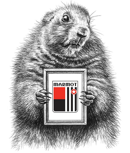 碳纤维自行车品牌marmot土拨鼠:摩拜ofo共享单车发展需除废