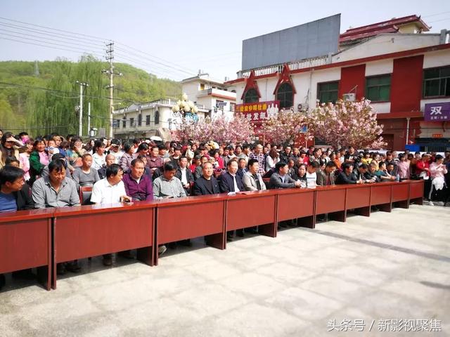 春花爛漫四月天──汝陽縣王坪鄉第一屆杜鵑花櫻花節開幕