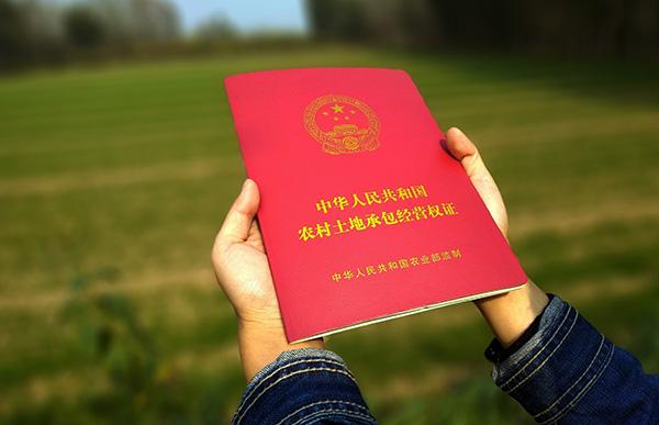 南乐县农业农村局：聚焦三农谋发展，描绘乡村振兴新画卷