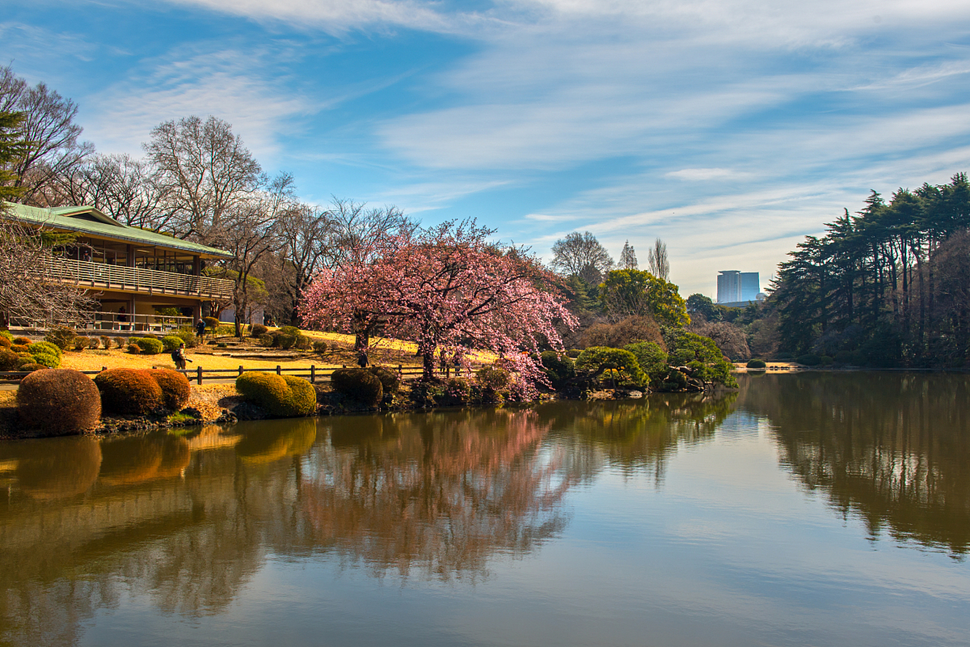 连山县禾洞镇早春 文/蒋振惠  连山新雨洗晴空,禾洞春来绿映红.