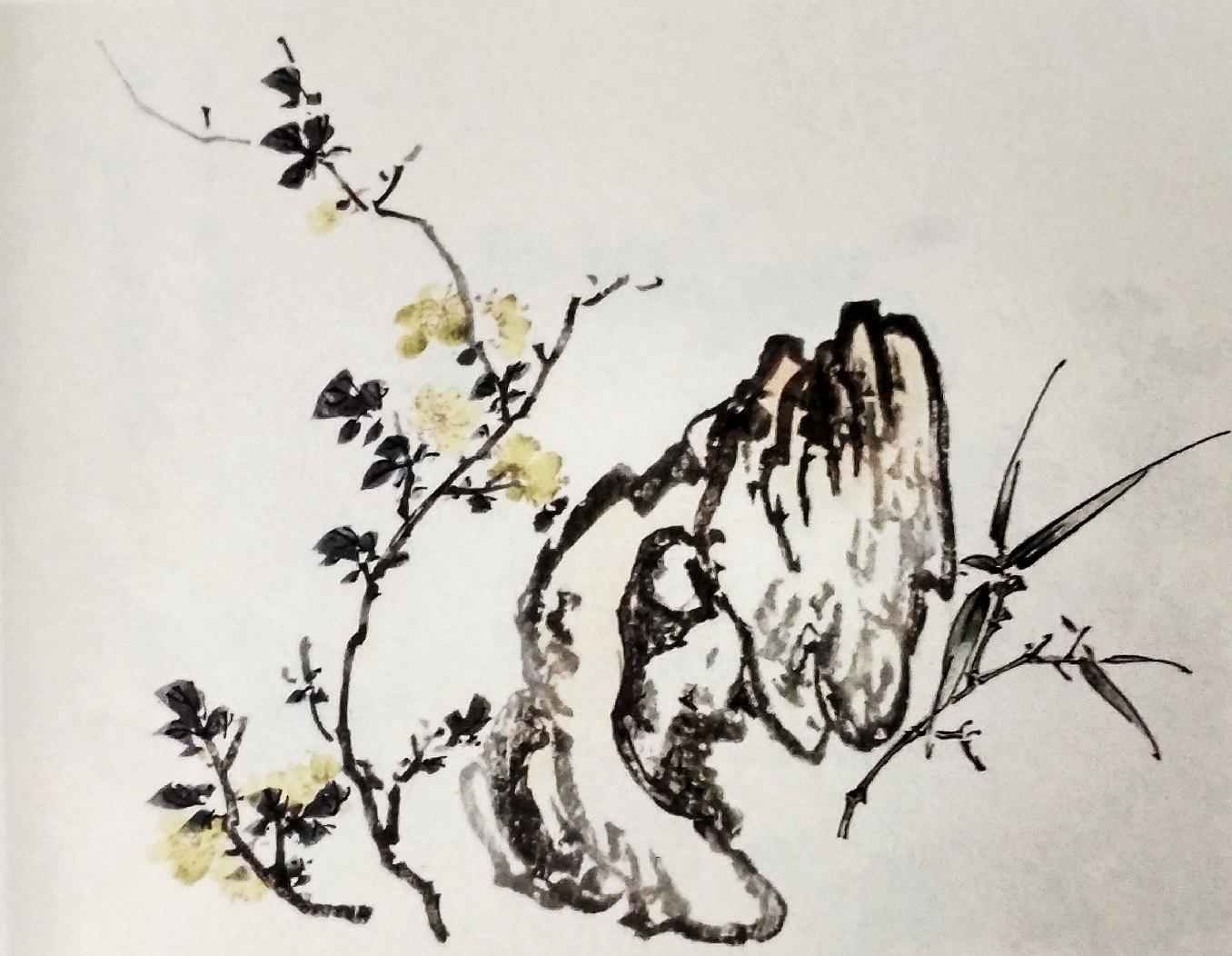 芥子园花鸟画100幅图片