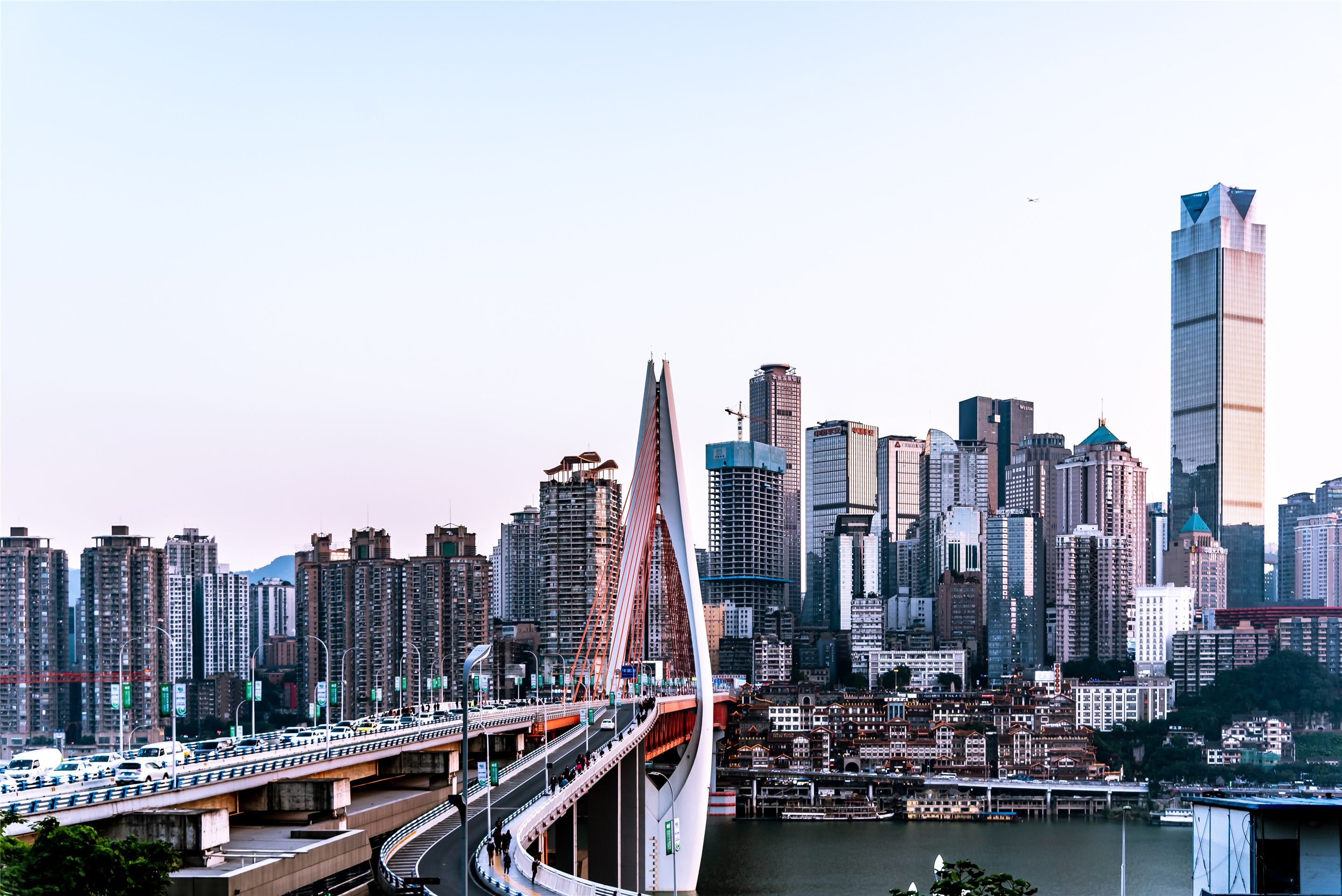 走北滨一路健身步道赏花放风筝,拍照看洪崖洞夜景