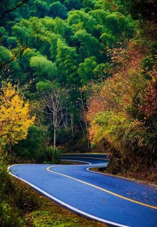 黄山这十条自驾游风景道,你最喜爱哪一条?