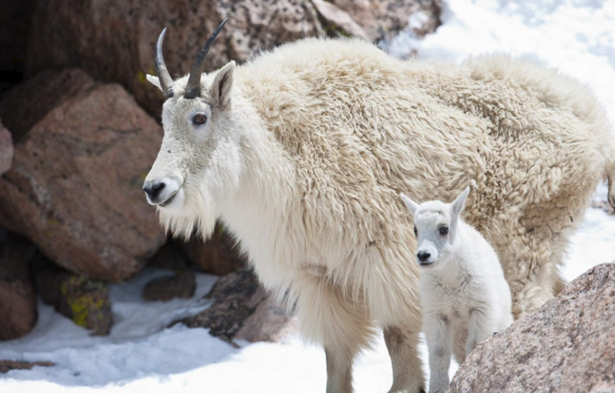 50羊 - 2020年最新商品信息聚合专区 - 百度爱采购