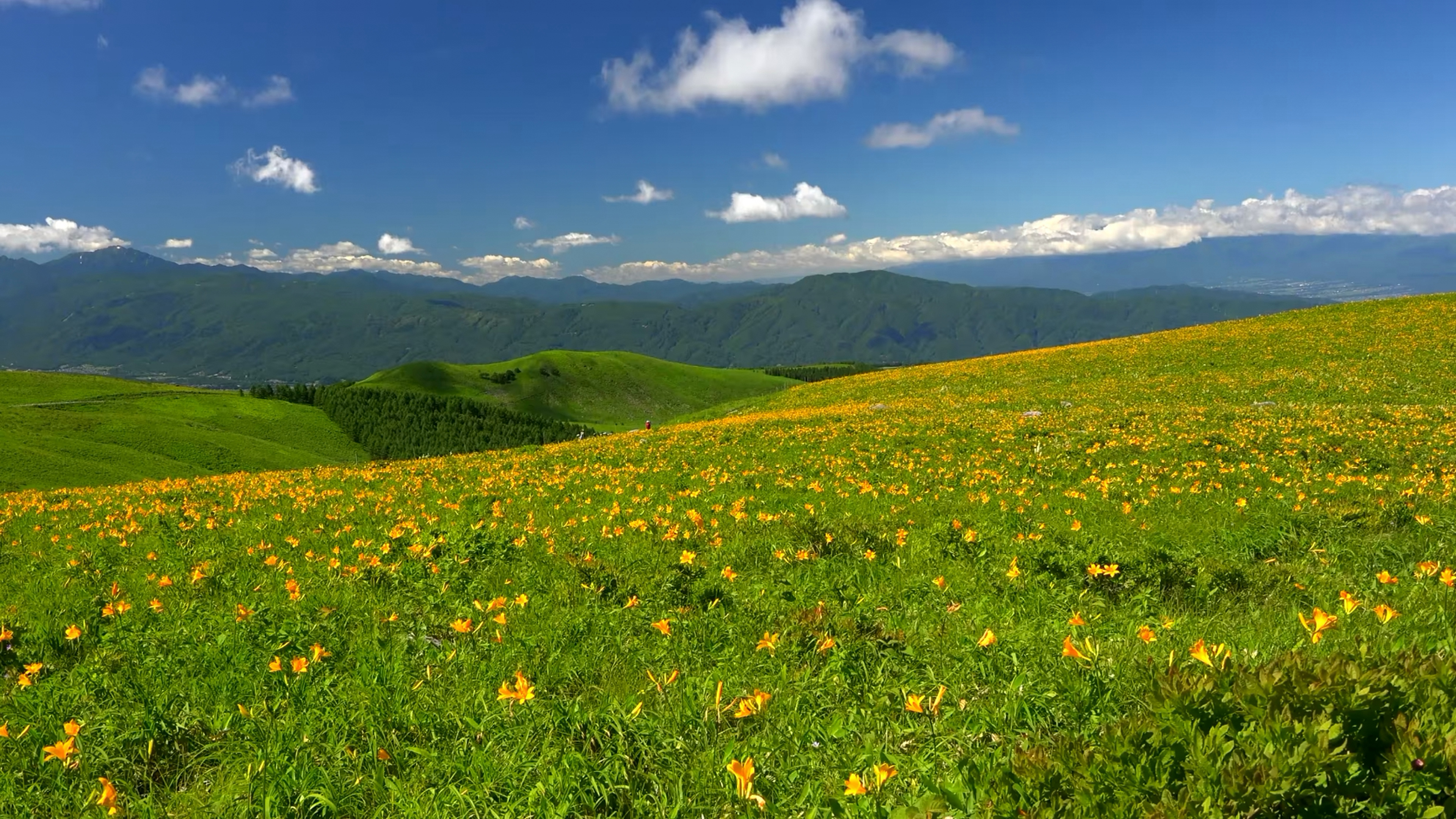 唯美风景