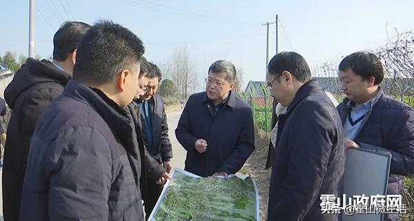 项跃文调研"高铁小镇"规划建设工作