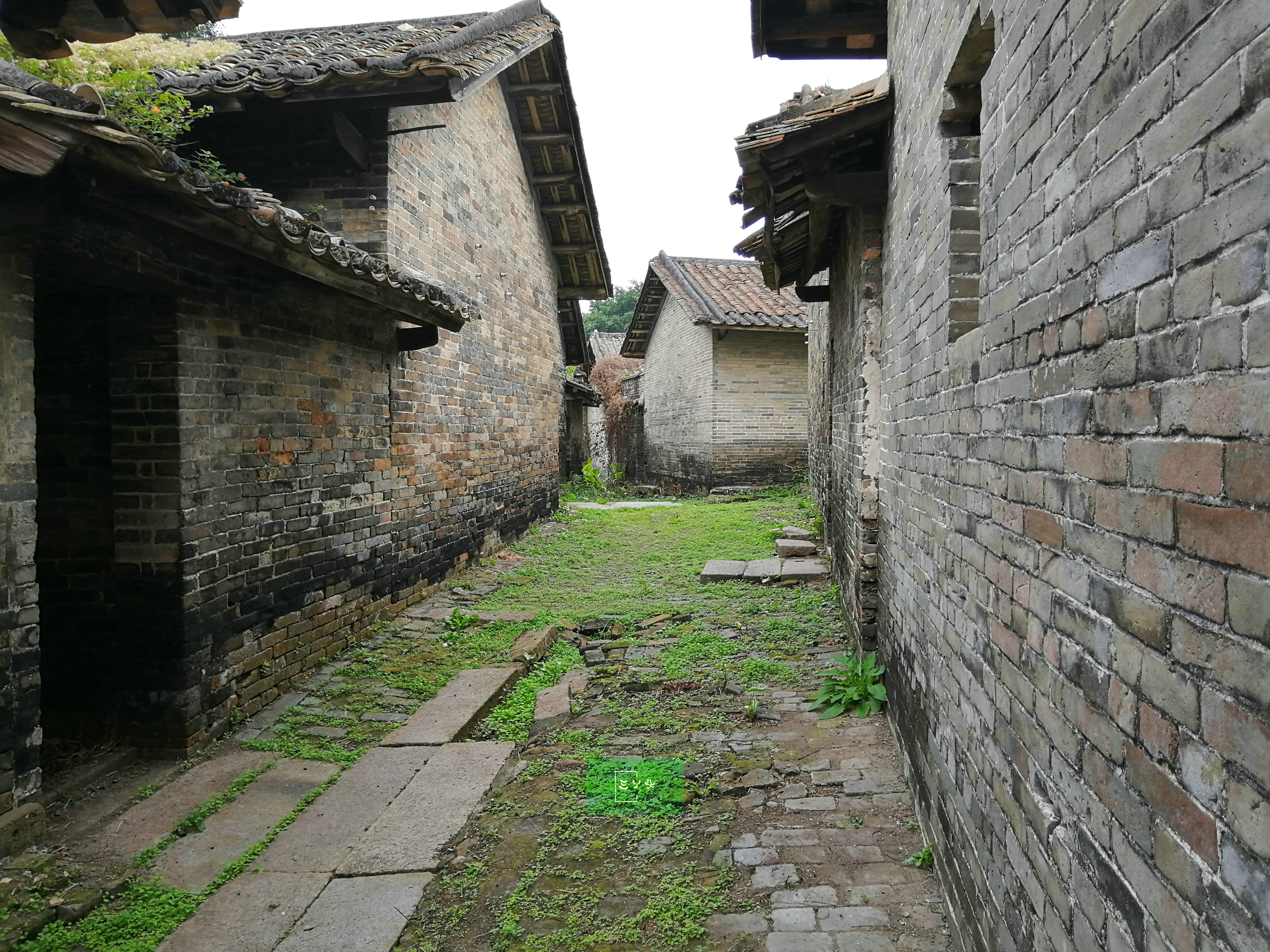 书舍:木棉村保留有浓厚的读书传统,行走其间,可以看到宝珊书舍,水坚书