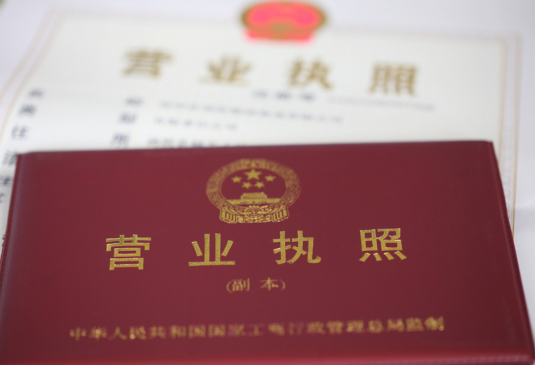 出资人:自然人独资由一个自然人投资者单独出资,并承担公司全部的