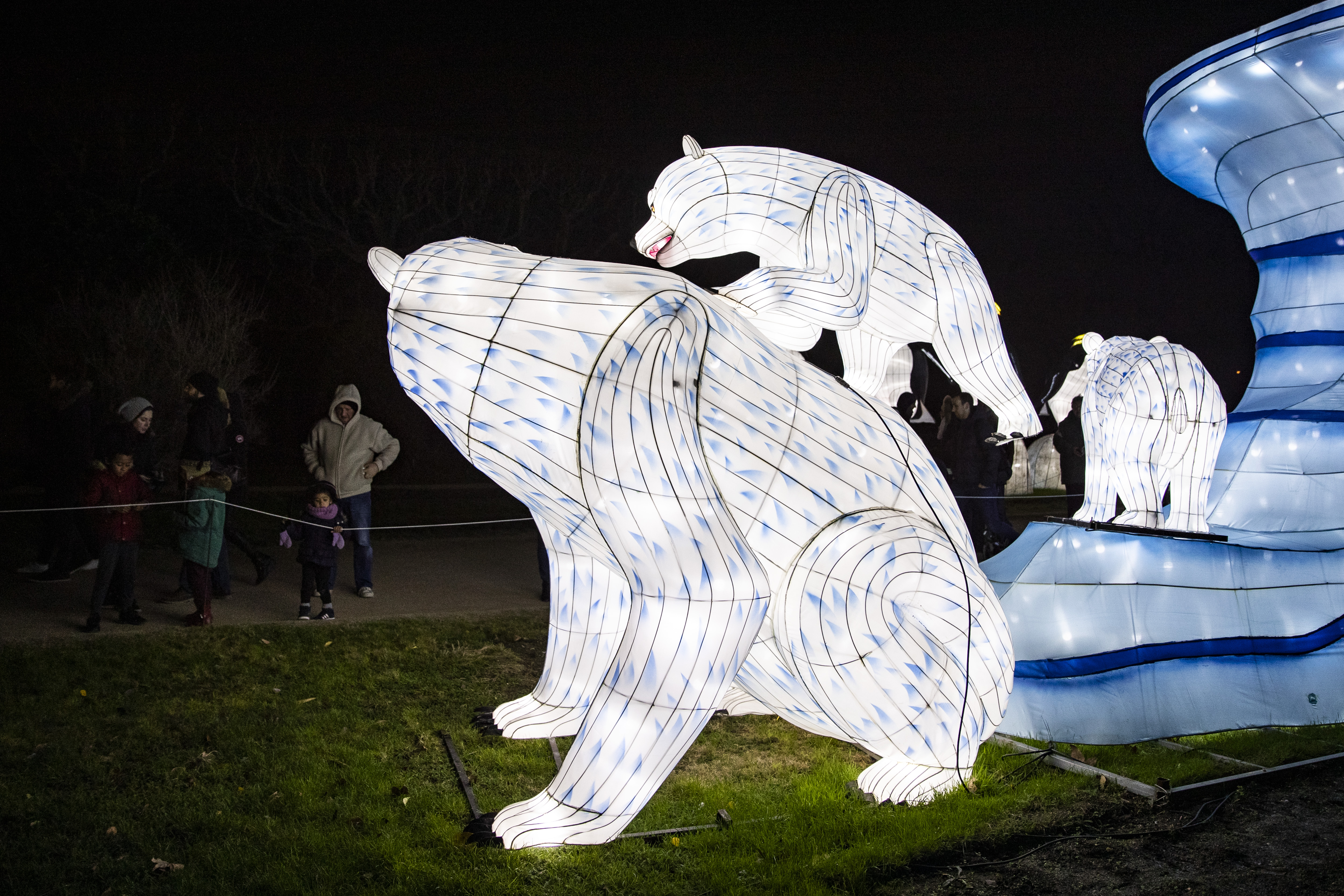 巴黎举办濒危动物彩灯展(2)