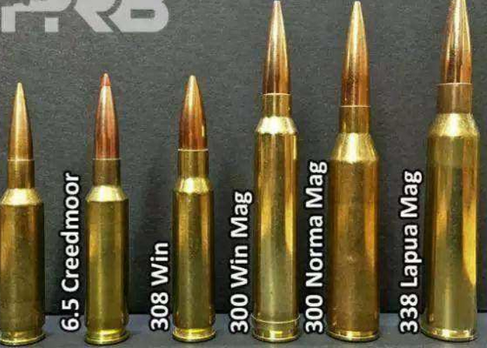 62与5.56毫米子弹有何不同,为什么现在步枪,都流行小口径?