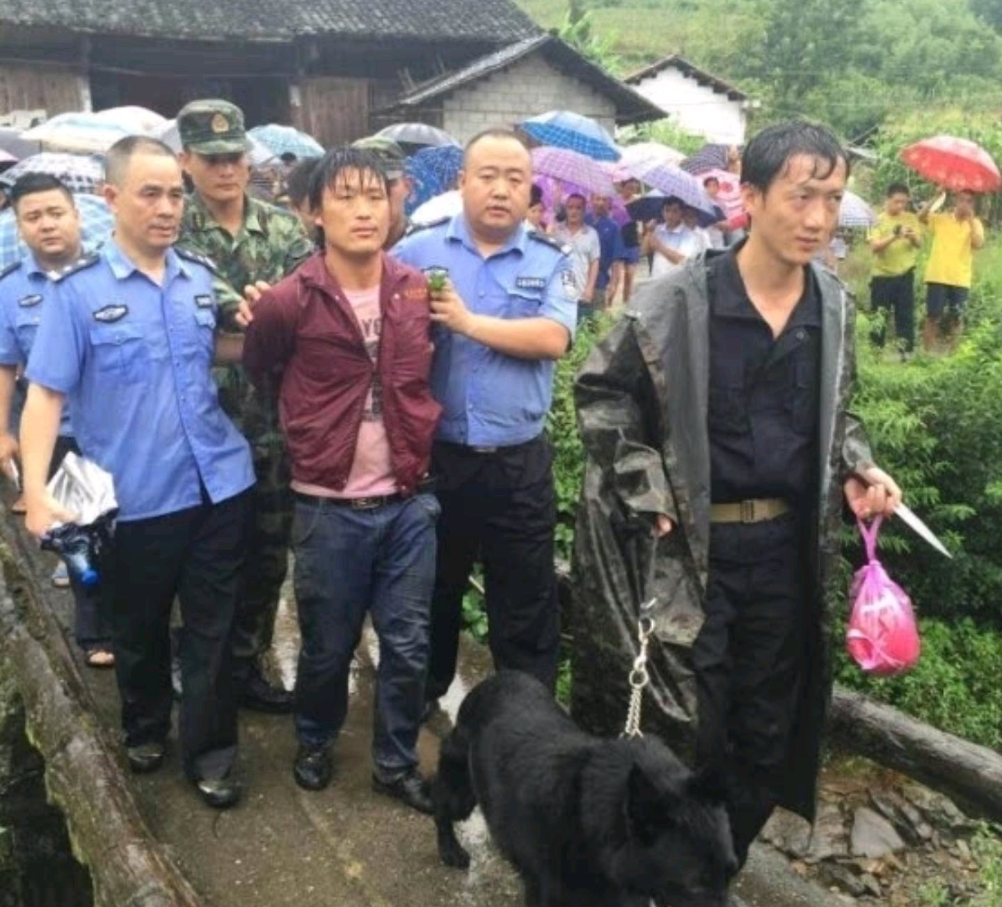 年末再打虎!"传奇一哥"向金坤涉黑保护伞被查