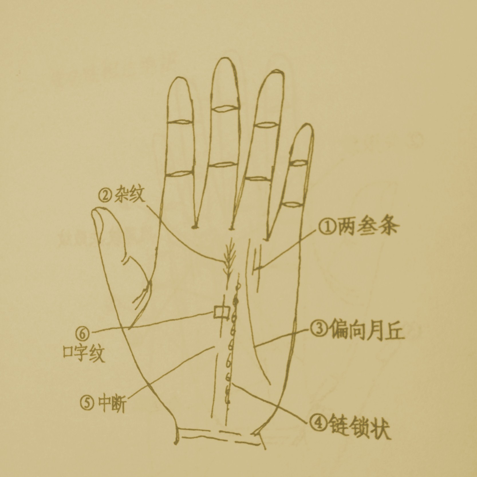 你的事业能不能成功?通过手相看财富秘籍曝光