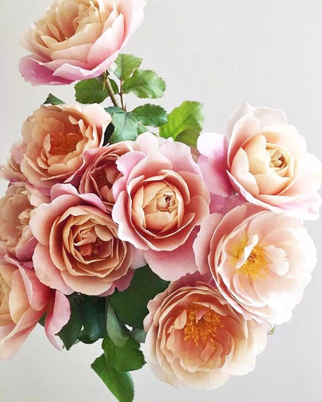 2019灵感指南,承包你一年的甜蜜生活