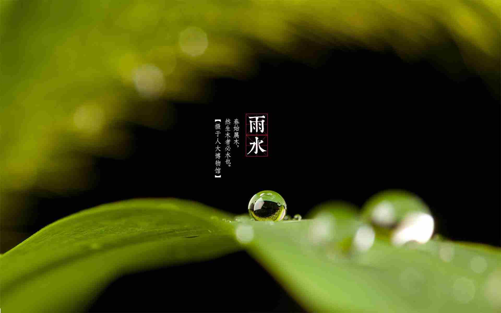 农谚 雨水节气南风紧