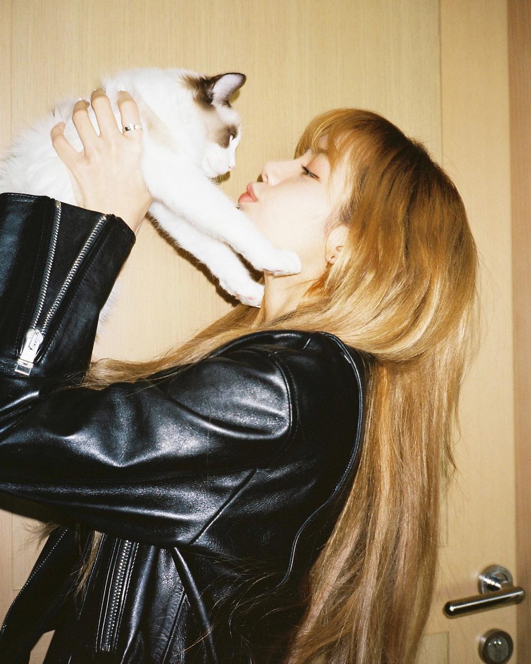 猫执事的日常 lisa公开和leo