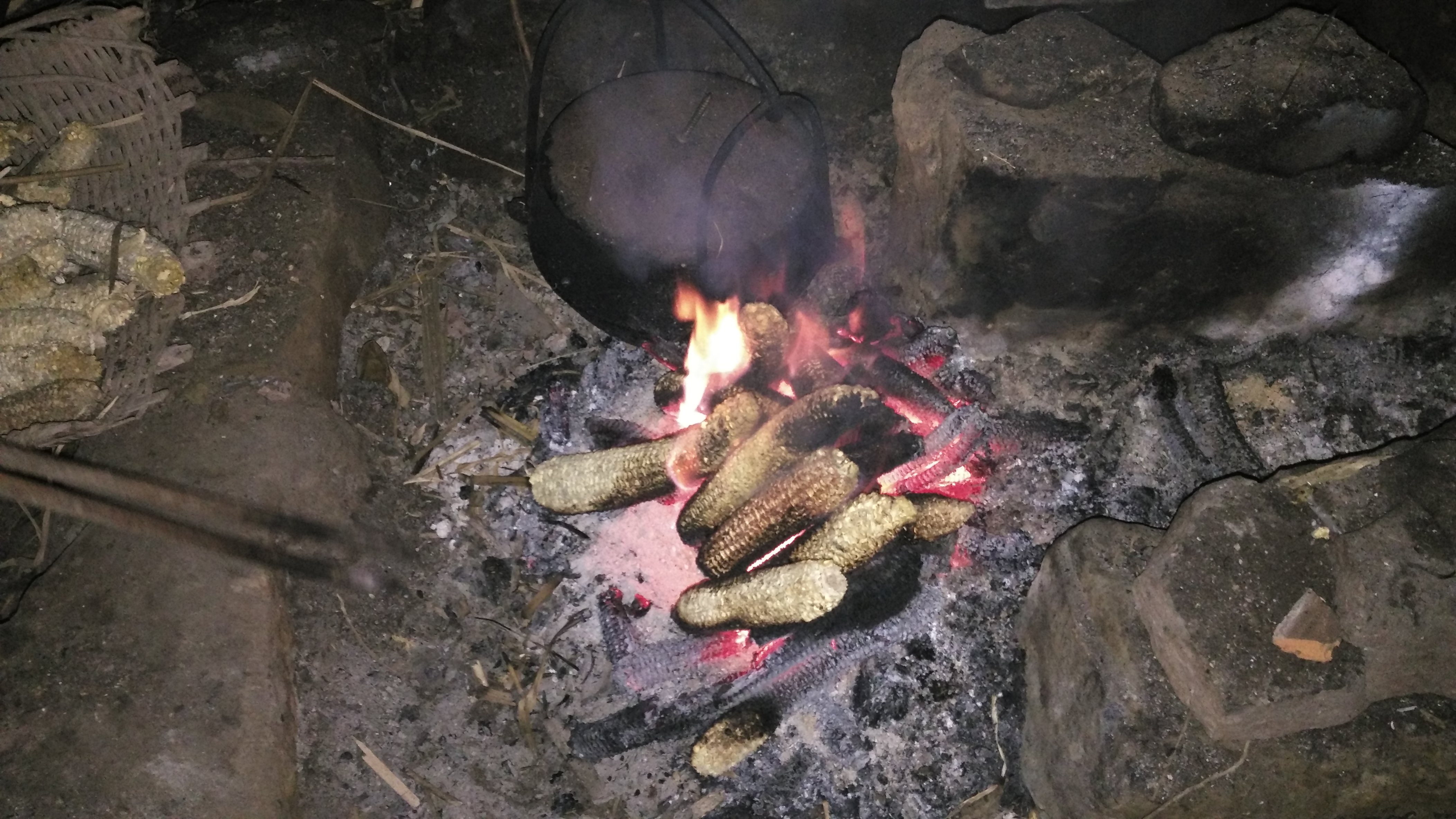 农村的冬天湿冷,坐在火塘烤柴火,好久没有这种体验了