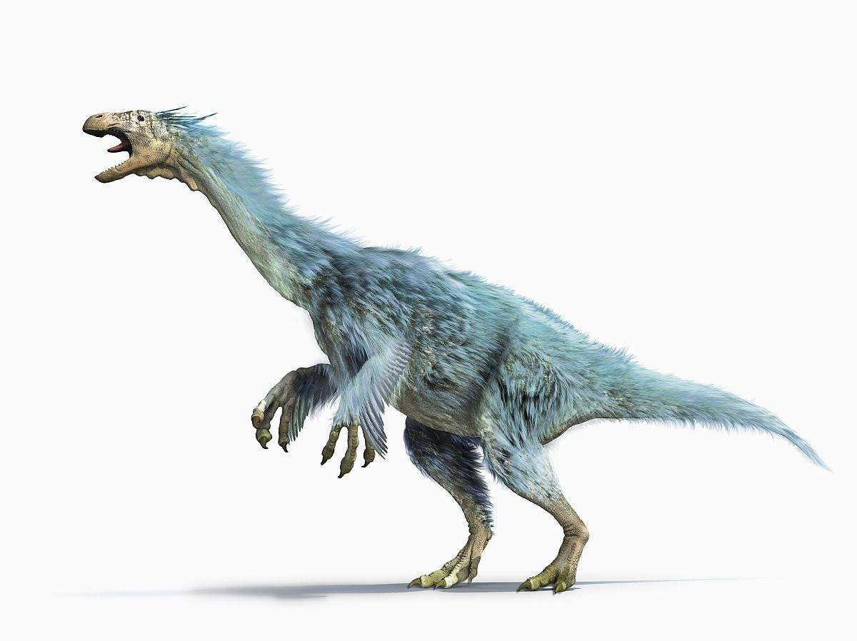 蜥结龙,南方巨兽龙,阿拉善龙,雷利诺龙,木他龙的介绍