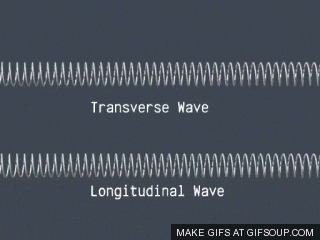 longitudinal wave图片