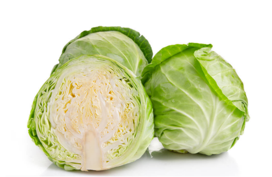 杰杰爱种菜:秋季时候怎么种植甘蓝菜,还是要注意这4个方面的