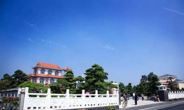 浏阳柏加镇苗木基地 - 2020年最新商品信息聚合专区 - 百度爱采购