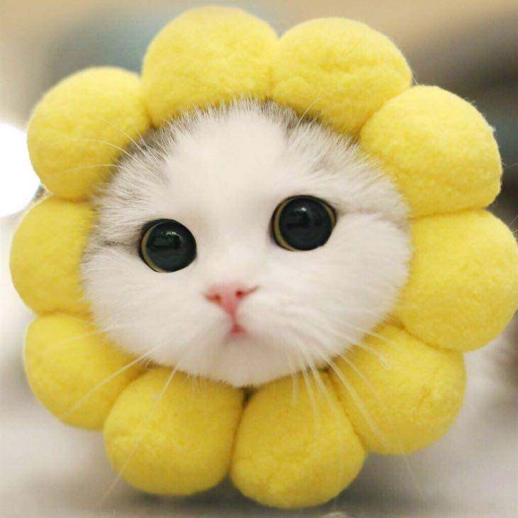 老夫少妻原来是从这部电视剧流行起来的!