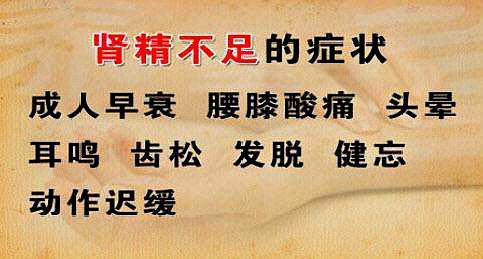 肾精虚 肾精虚