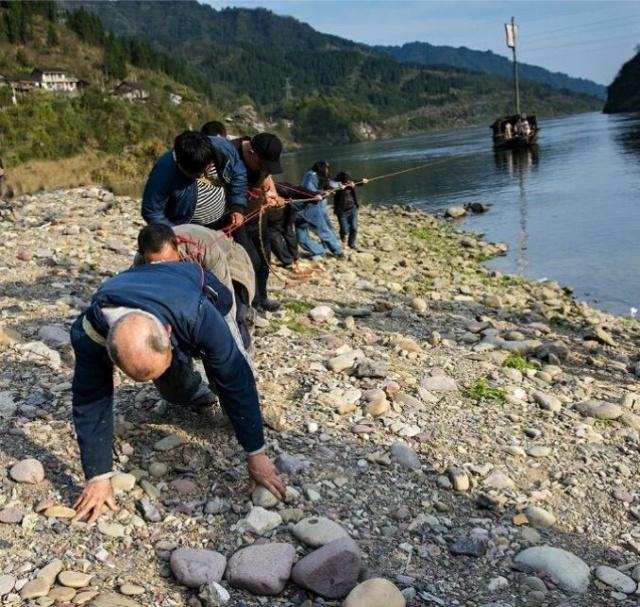酉水风情画廊游客体验昔日纤夫拉船的情景