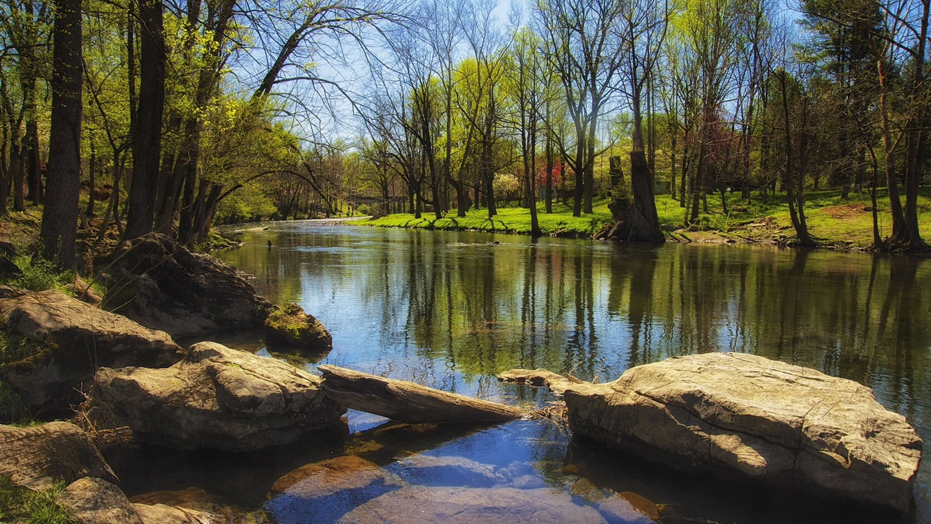 "上海吴太"张瀞仁滑雪时摔倒,意外去世:明天没你想象的多