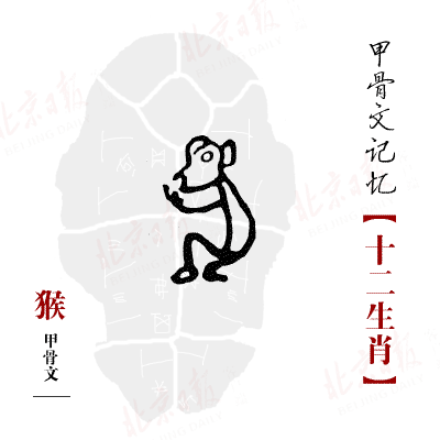 猴的汉字演变过程图画图片