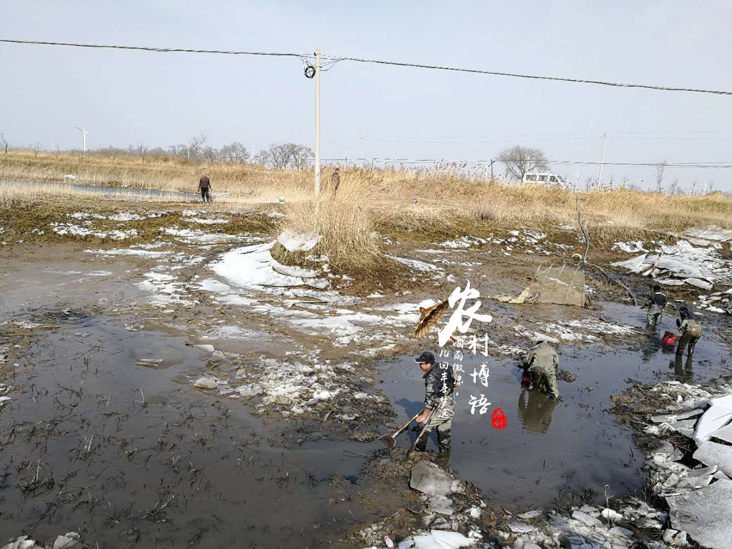 农村人过年回家的集体活动竟是涸泽而渔,其实这只是一次消遣而已