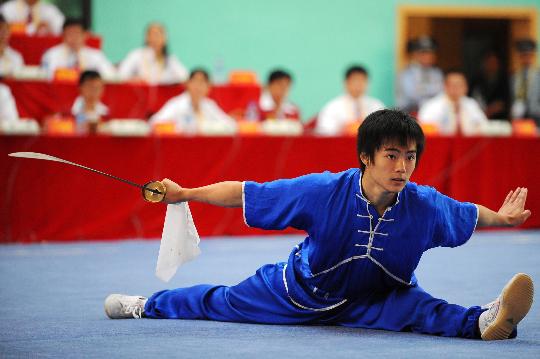 武术入门先练这几套拳,第三个最难