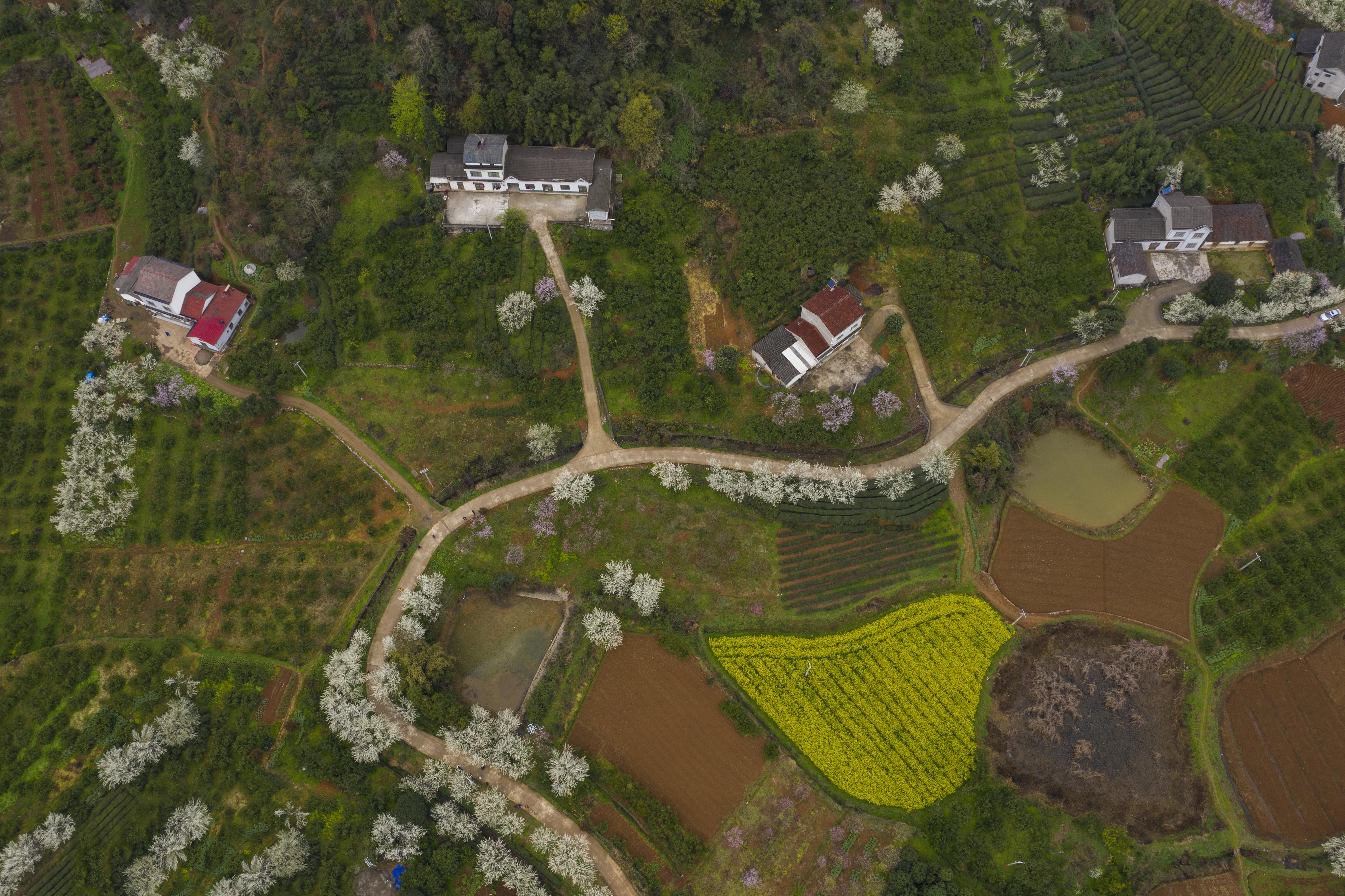 宜都枝城镇架锅山村航拍