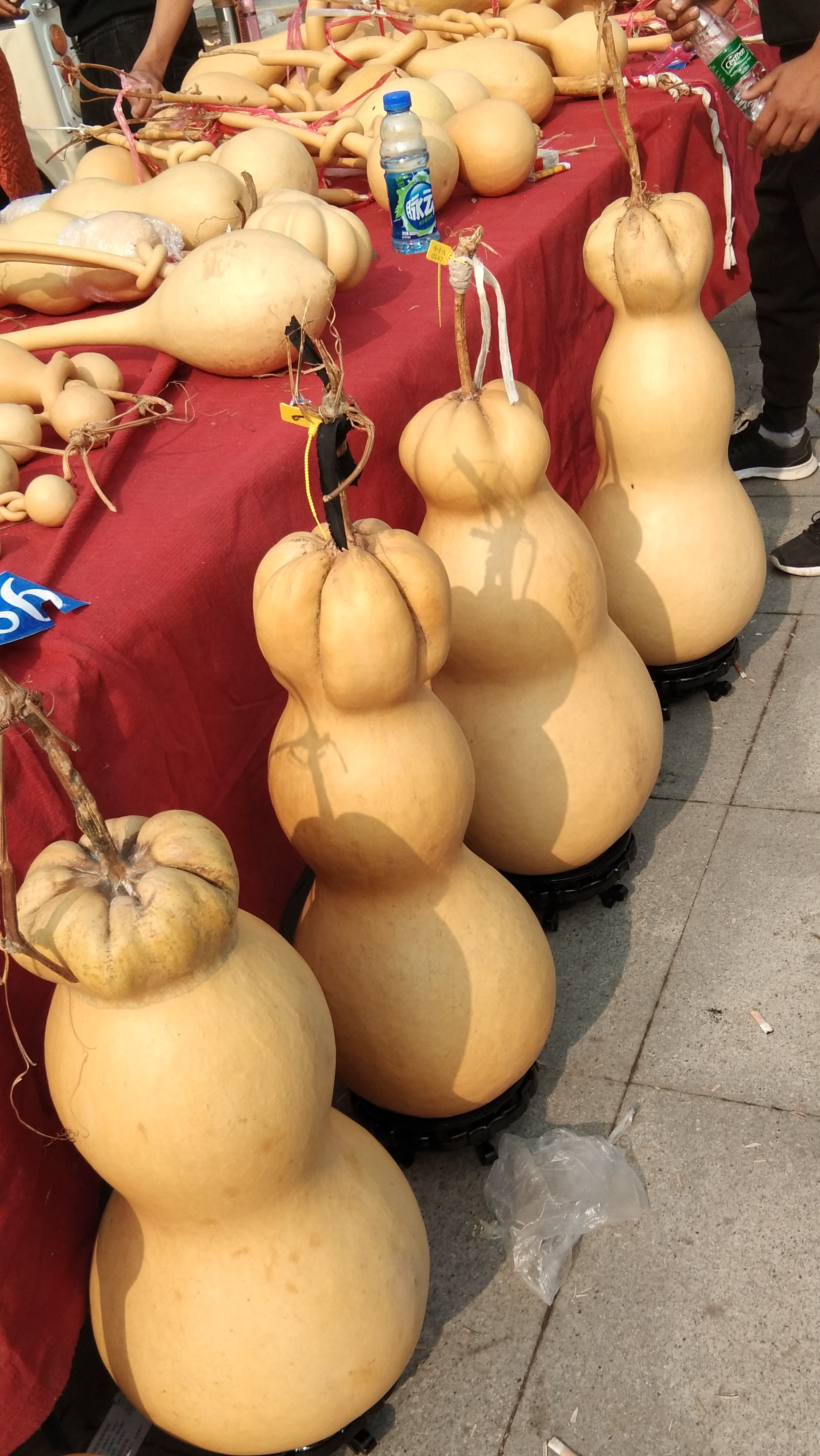 葫芦- 热门商品专区