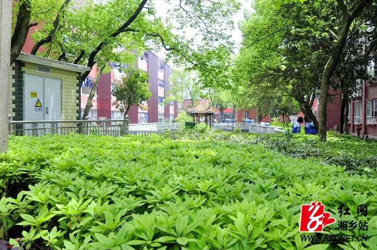 求学何必去远方——走进湘乡名校名民实验中学