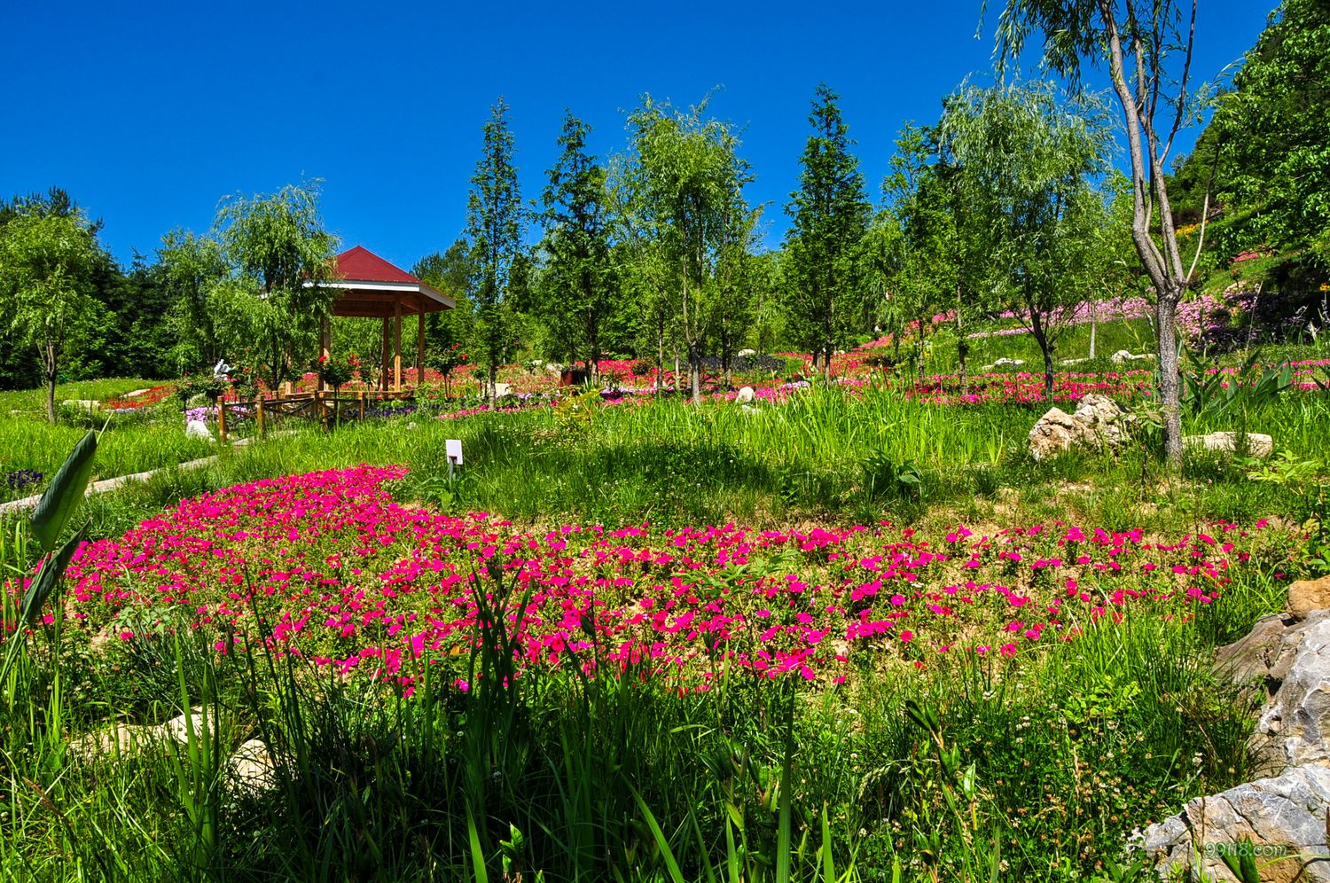 重庆景点:城口县九重花岭