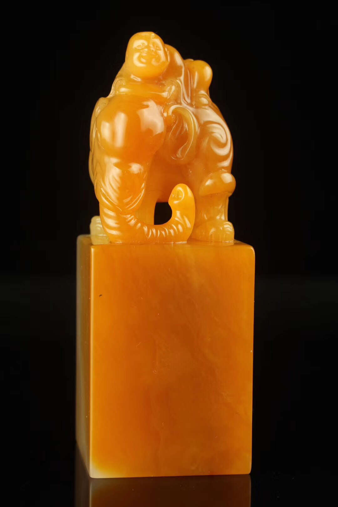 老挝北部田印章