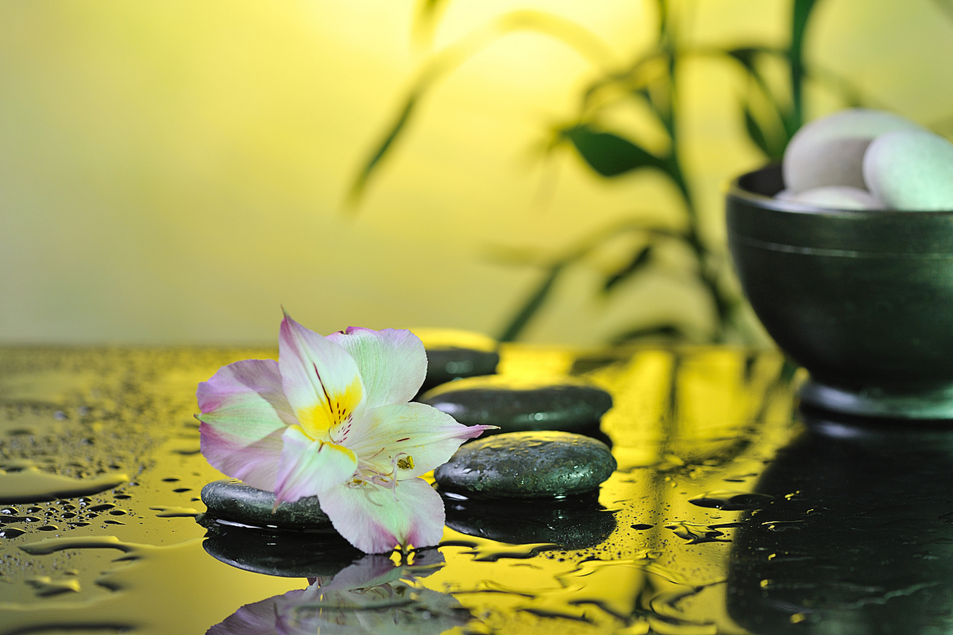 情感的形成是欲望的成型,每多一份人欲,就会多一份情感.