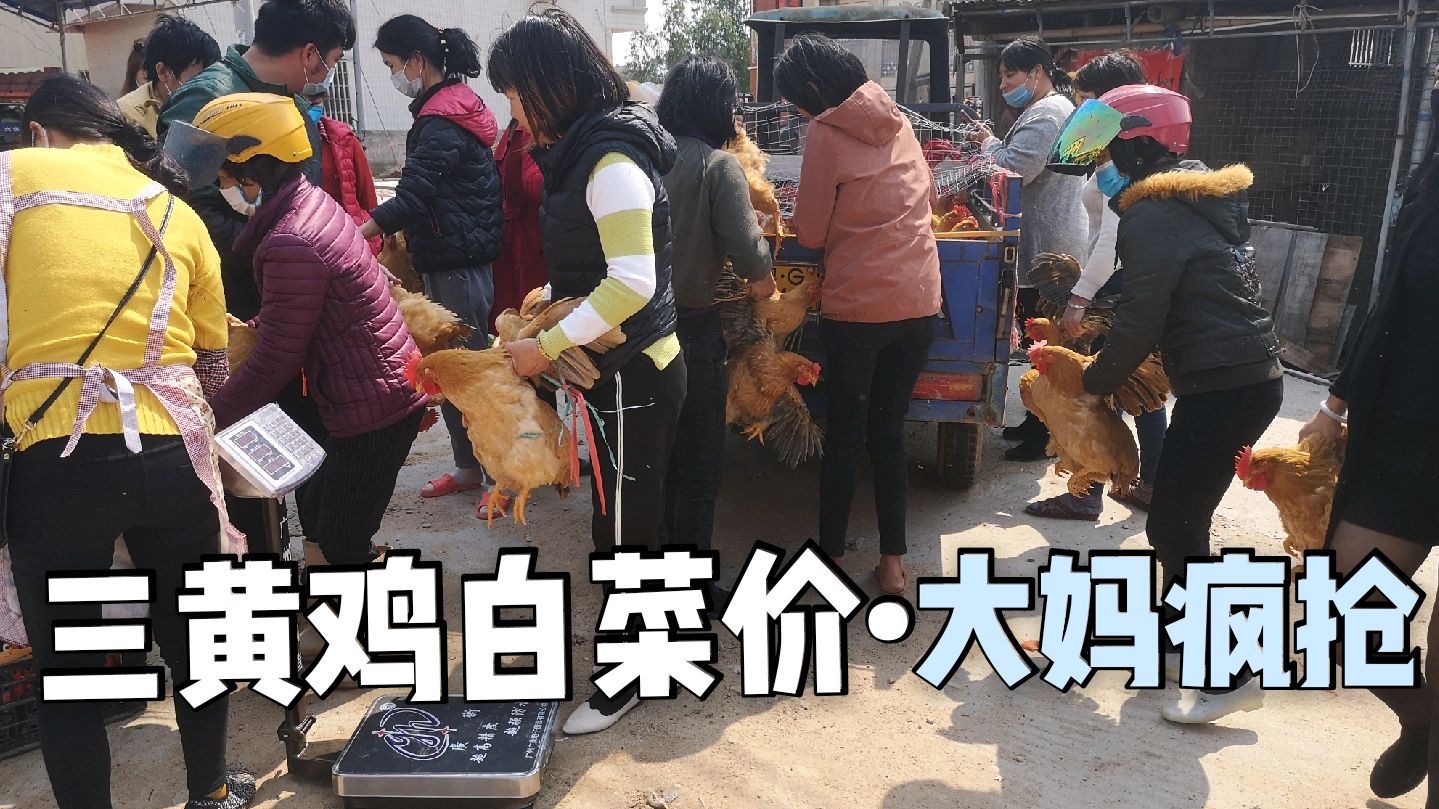 三黄鸡大降价,大妈憋着抢购了20只,知道价格后,小伙有点惊讶