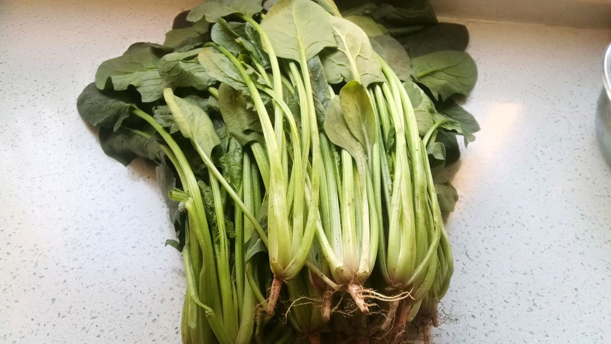 厨师长教你炒菠菜的正确做法,只要掌握关键的一步,才可放心食用