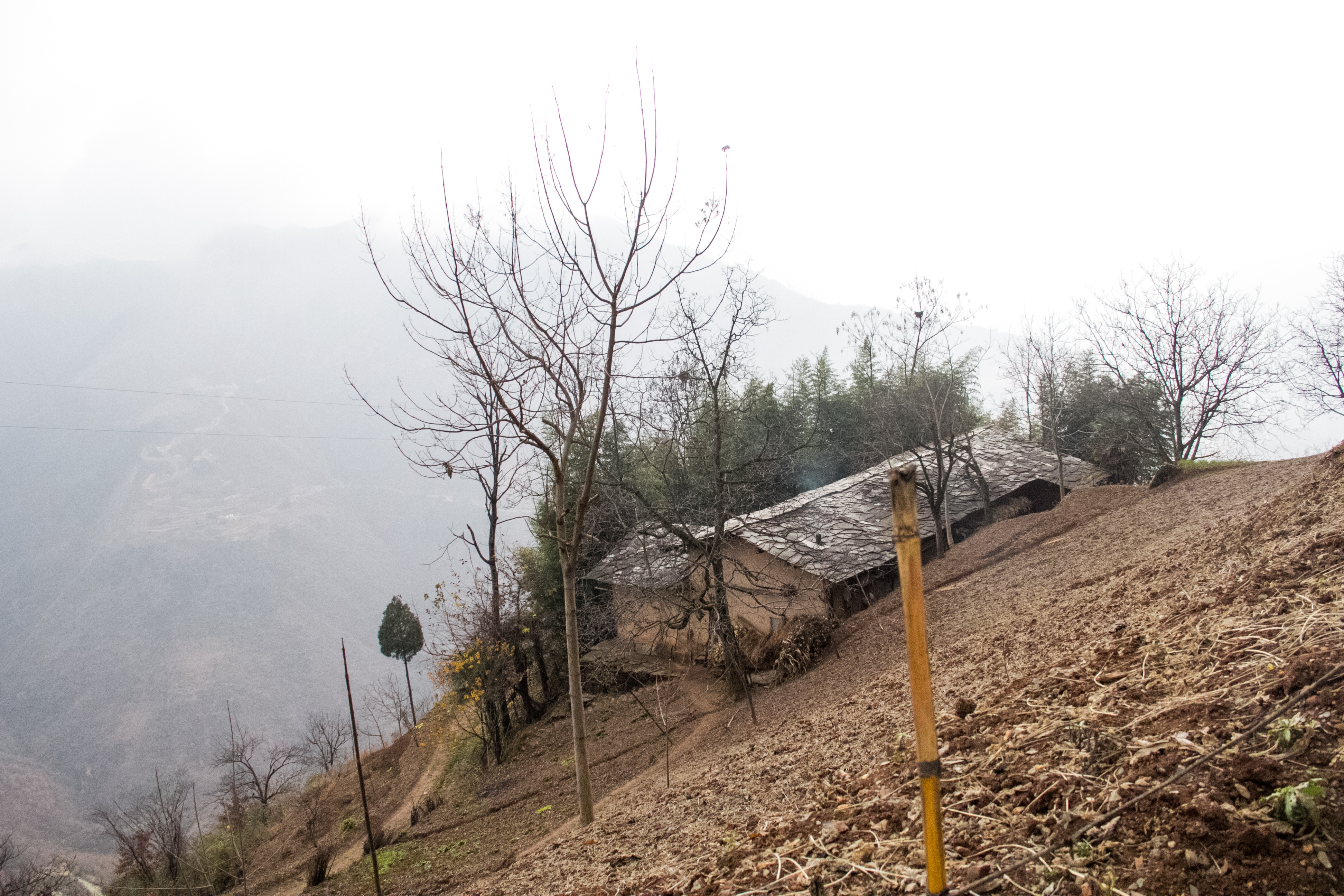 行走秦岭:大寨子山高坡陡,发现很多石板房