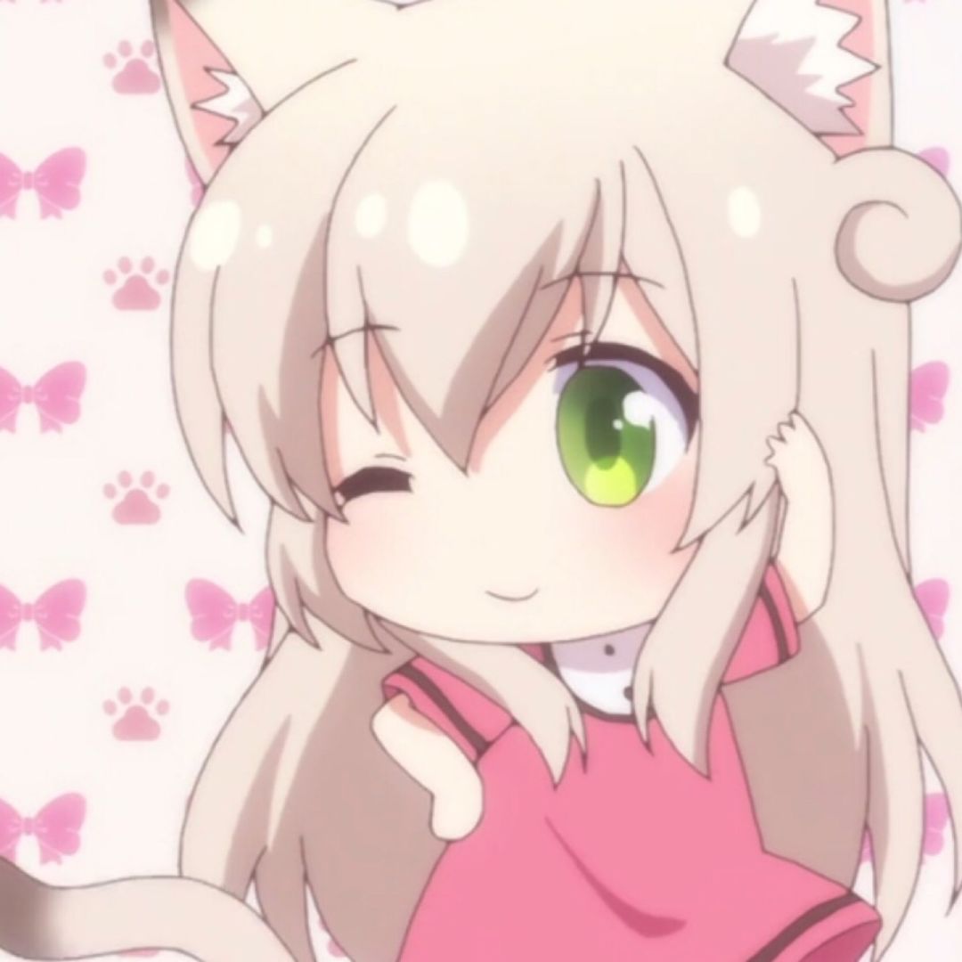 《猫咪日常》表情包及头像