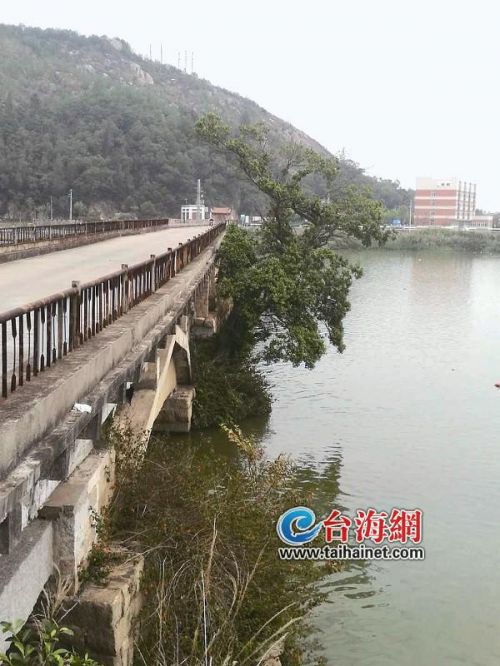 探访九龙江取水点 赏江东古桥品"江东鲈鱼"