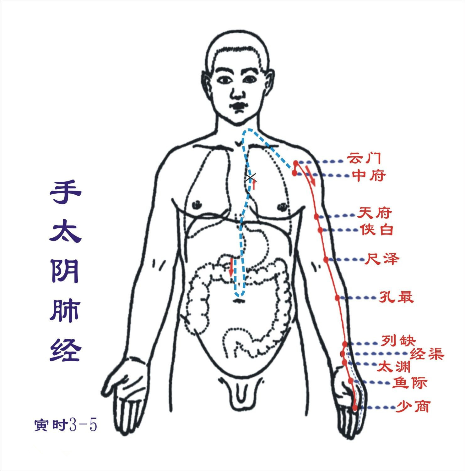 慢性咽炎推拿按摩手法图片