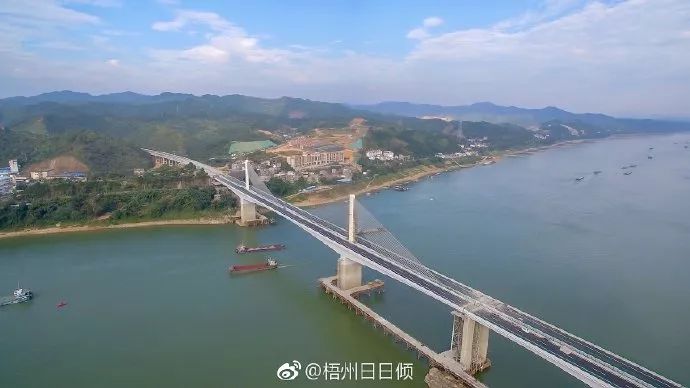 扶典口西江特大桥是梧州环城高速公路项目的控制性工程,将于12月6日
