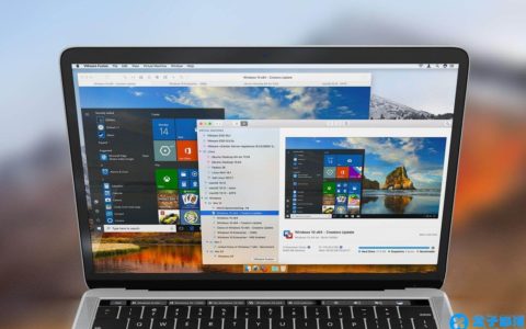 VMWare Fusion Pro 11 中文专业版 - 苹果 macOS 强大的虚拟机软件