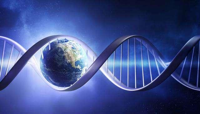 想像一下如果存在铁基生命会是什么样的