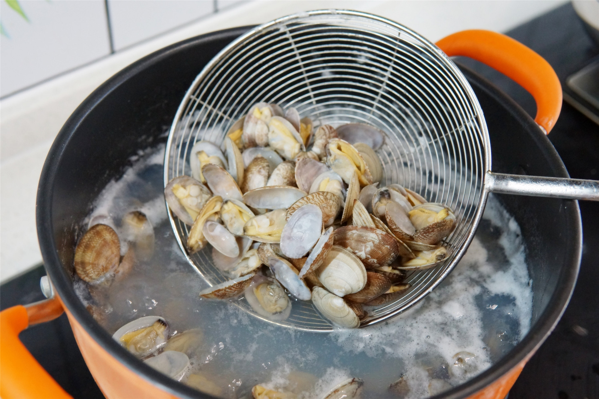 花甲吐沙,海边人教的好方法,不用盐不用油,十几分钟乖乖吐干净