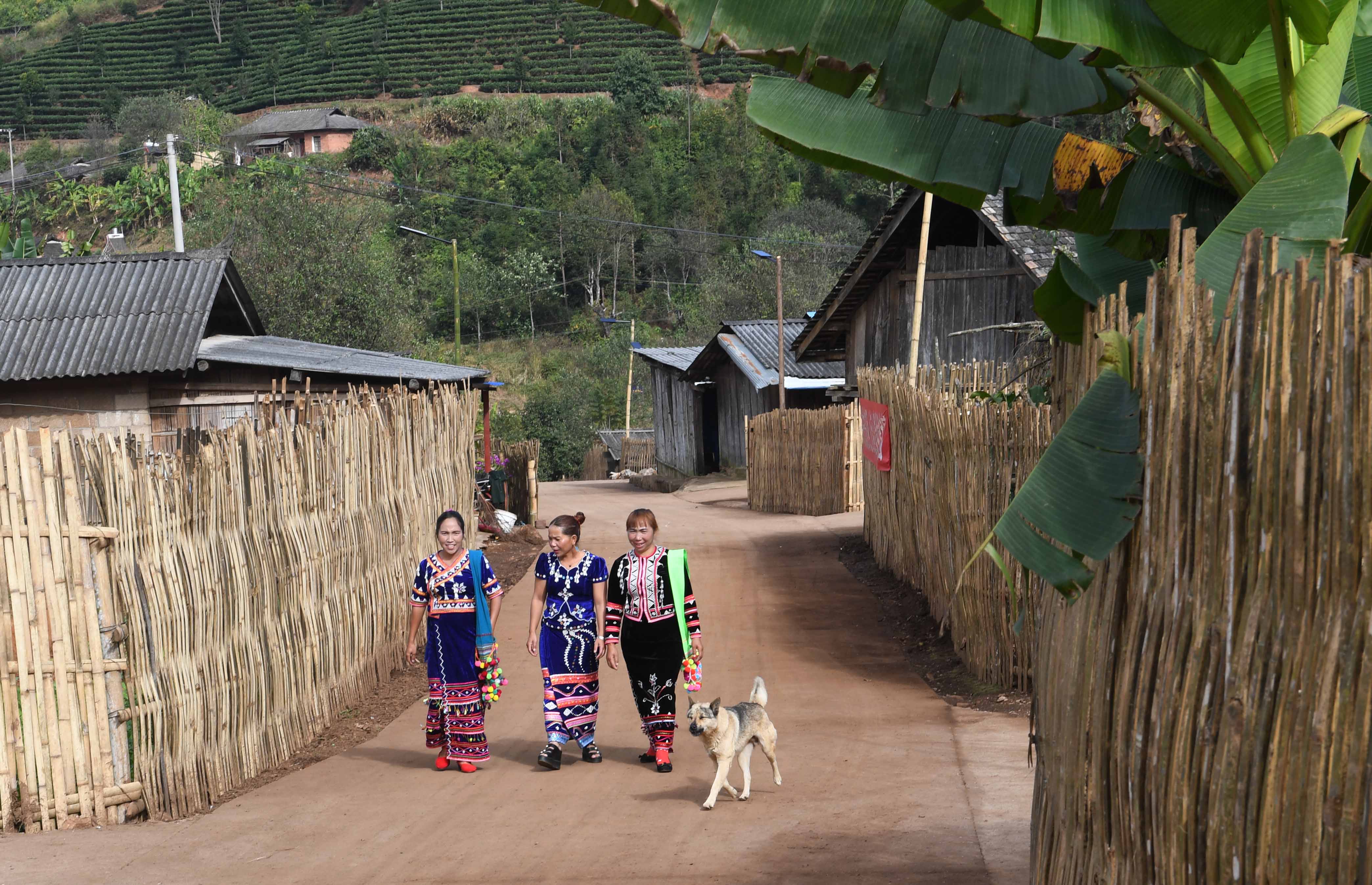 云南孟连的脱贫攻坚新气象(3)