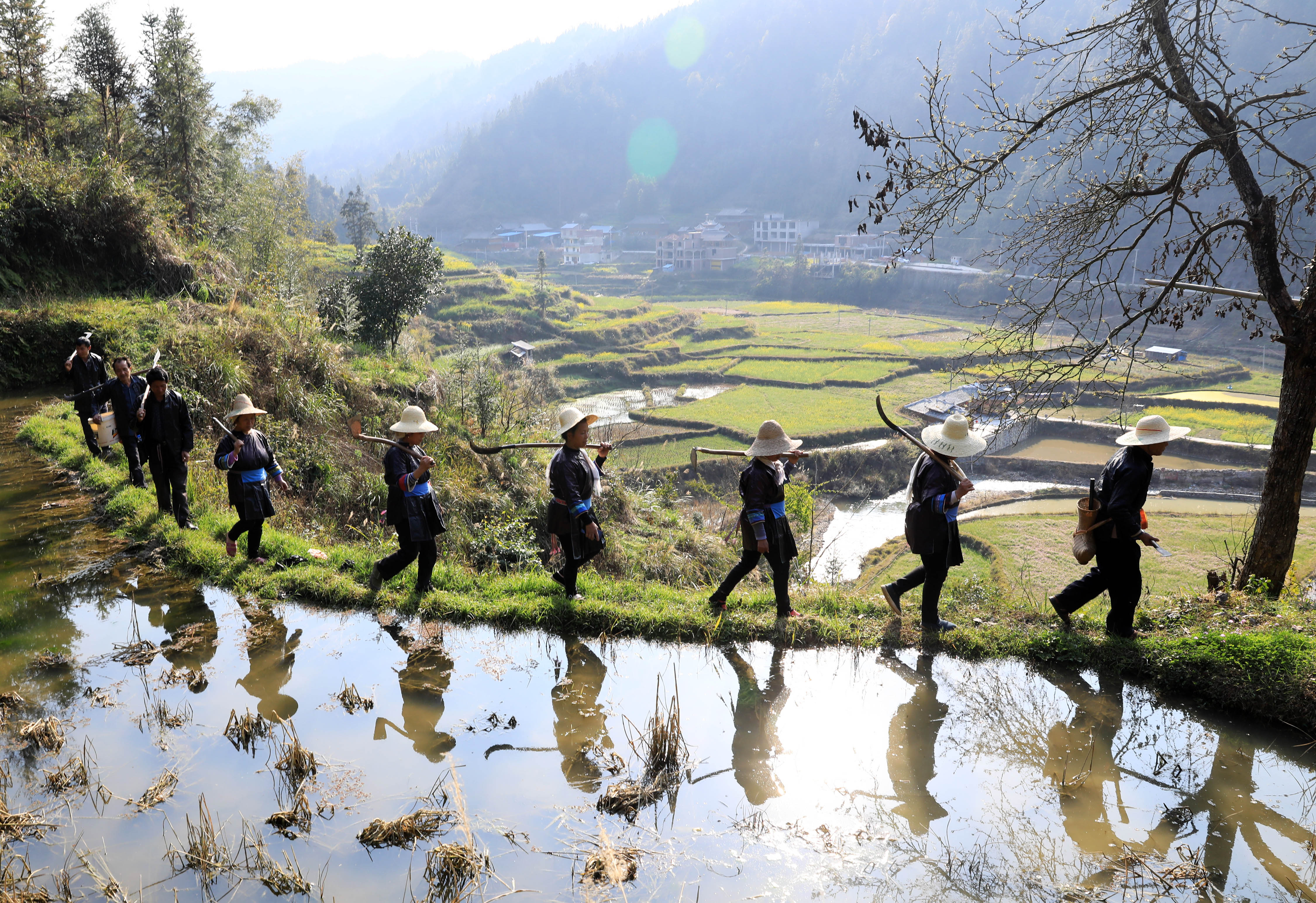 平塘县四寨镇图片